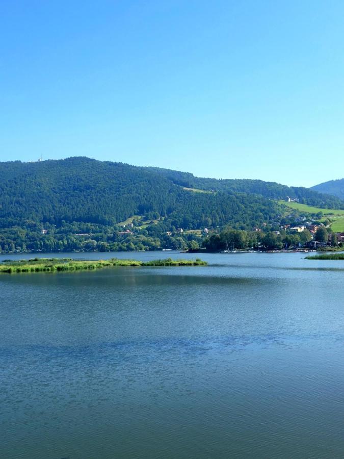 Pokoje Goscinne U Brody Miedzybrodzie Zywieckie Exterior foto